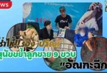 แม่ร่ำไห้!! ร้อง “ปวีณา” สุนัขดุร้ายพันธุ์ผสมบางแก้วขย้ำลูกชาย 9 ขวบ “อัณฑะฉีก” ขณะเดินเล่นตลาดเก่าย่านดอนเมือง