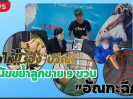 แม่ร่ำไห้!! ร้อง “ปวีณา” สุนัขดุร้ายพันธุ์ผสมบางแก้วขย้ำลูกชาย 9 ขวบ “อัณฑะฉีก” ขณะเดินเล่นตลาดเก่าย่านดอนเมือง
