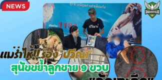 แม่ร่ำไห้!! ร้อง “ปวีณา” สุนัขดุร้ายพันธุ์ผสมบางแก้วขย้ำลูกชาย 9 ขวบ “อัณฑะฉีก” ขณะเดินเล่นตลาดเก่าย่านดอนเมือง