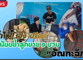 แม่ร่ำไห้!! ร้อง “ปวีณา” สุนัขดุร้ายพันธุ์ผสมบางแก้วขย้ำลูกชาย 9 ขวบ “อัณฑะฉีก” ขณะเดินเล่นตลาดเก่าย่านดอนเมือง