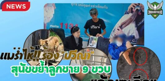 แม่ร่ำไห้!! ร้อง “ปวีณา” สุนัขดุร้ายพันธุ์ผสมบางแก้วขย้ำลูกชาย 9 ขวบ “อัณฑะฉีก” ขณะเดินเล่นตลาดเก่าย่านดอนเมือง