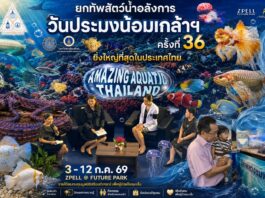 Amazing Aquatic Thailand เปิดประสบการณ์ความมหัศจรรย์ของสัตว์น้ำ งาน “วันประมงน้อมเกล้าฯ ครั้งที่ 36” ยกทัพสัตว์น้ำสุดอลังการ ชมโชว์นางเงือก-ปลาเตะบอล และการประกวดปลาสวยงาม 8 ชนิด 81 ประเภท ยิ่งใหญ่ที่สุดในประเทศไทย