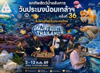 Amazing Aquatic Thailand เปิดประสบการณ์ความมหัศจรรย์ของสัตว์น้ำ งาน “วันประมงน้อมเกล้าฯ ครั้งที่ 36” ยกทัพสัตว์น้ำสุดอลังการ ชมโชว์นางเงือก-ปลาเตะบอล และการประกวดปลาสวยงาม 8 ชนิด 81 ประเภท ยิ่งใหญ่ที่สุดในประเทศไทย