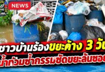 ปทุมธานี น้ำท่วมซ้ำเติมขยะล้นถัง ส่งกลิ่นเหม็น ชาวบ้านวอนเทศบาลเร่งจัดเก็บ หวั่นเป็นแหล่งเชื้อโรค