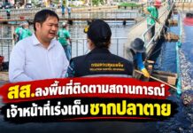 ปทุมธานี ส.ส.ลงพื้นที่ติดตามสถานการณ์เร่งเก็บซากปลาตายคลอง 2 คลองหลวง คาดน้ำเสียขาดออกซิเจน เตรียมเพิ่มการระบายน้ำดีช่วยผลักดันน้ำเสีย