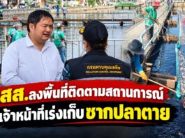ปทุมธานี ส.ส.ลงพื้นที่ติดตามสถานการณ์เร่งเก็บซากปลาตายคลอง 2 คลองหลวง คาดน้ำเสียขาดออกซิเจน เตรียมเพิ่มการระบายน้ำดีช่วยผลักดันน้ำเสีย